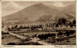 Abaújszántó, Sátorhegy, szőlők, Forgács Lajos kiadása (EK)