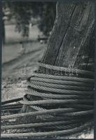 cca 1980 Faragó László feliratozott vintage fotóművészeti alkotása, 24x16 cm