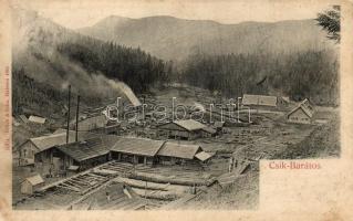 Barátos, Csík-Barátos; fűrésztelep / saw mill (EK)