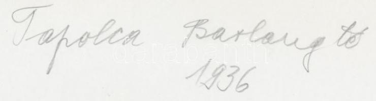 1936 Tapolca, Barlang-tó, jelzés nélküli, feliratozott fénykép dr. Sevcsik Jenő (1899-1996) hagyaték...