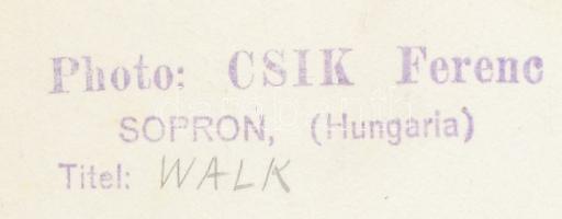 cca 1940 Csík Ferenc (1894-1984) pecséttel jelzett fotóművészeti alkotása, 18x24 cm