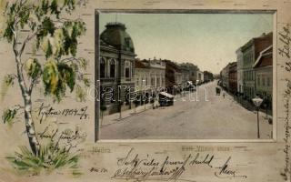 Nyitra, Tóth Vilmos utca, Weisz Lipót üzlete / street, shops, tree (b)
