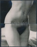 cca 1960 Négy db fotólapból összeilleszthető finoman erotikus fénykép, 9x14 cm