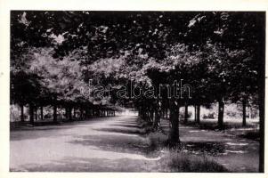 Gödöllő, Erzsébet királyné park; Kalántai photo, Storcz B. Mátyás dohánynagyárus kiadása