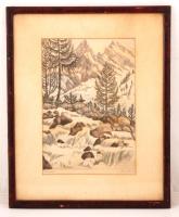 Conrad Gyula (1877-1959): Havasok. Színezett rézkarc, papír, jelzett, üvegezett keretben, 35×24 cm