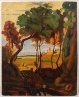 Jelzés nélkül: Oázis. Olaj, karton, festék hibákkal, 70×54 cm