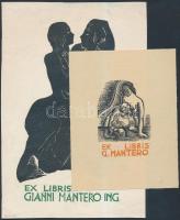 Armando Baldinelli (1908-2002)ex librisek: fametszet, bélyegzővel jelzett, 20x13cm, linómetszet,(25x...