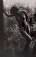 cca 1975 Marinkay István: Erdőben, pecséttel jelzett vintage fotóművészeti alkotás, 30x20 cm-es kép 40x30 cm-es fotópapíron