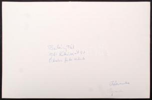 cca 1970 Balásy Pál: Kézimunka (Bp., Margitsziget), aláírt és feliratozott vintage fotóművészeti alk...