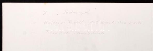 cca 1975 Kalocsai Rudolf: Sodronyok, feliratozott vintage fotóművészeti alkotás, 26x40 cm