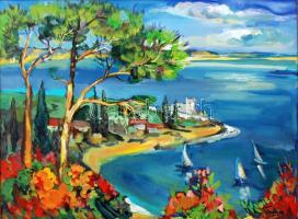 Olvashatatlan jelzéssel: Tengerparti táj. Olaj, farost, keretben, 60×80 cm