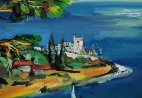 Olvashatatlan jelzéssel: Tengerparti táj. Olaj, farost, keretben, 60×80 cm
