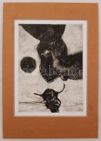 Kopándi István (1968-):  Idol II. Rézkarc, papír, jelzett, paszpartuban, 31×24 cm