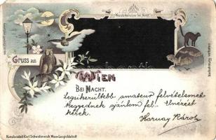 1898 Vienna, Wien; bei Nacht / at nightowl, bats, cat, moon, Kunstanstalt Karl Schwidernoch No. 400. floral litho (EM)