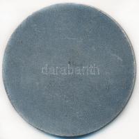 ~1960. "OMBKE (Országos Magyar Bányászati és Kohászati Egyesület) 1892" ezüstözött Br emlé...