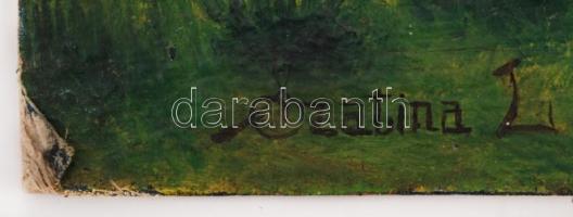 Szatina L.: Falusi naiv, olaj, karton, sérült, 54x75cm