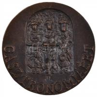 Józsa Lajos (1944-) ~1980. "Hajdúszoboszló Délibáb Hotel / Gasztronómiáért" Br emlékérem (...