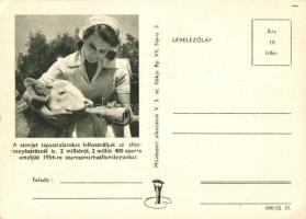 Szovjet állattenyésztés. Államszocialista propaganda / Socialist/Communist agricultural propaganda