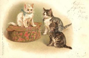 Cats, Gebrüder Obpacher Lith-Artist Anstalt Serie 50. No. 18410. litho (EK)