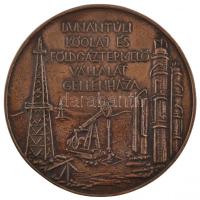 ~1970. "Dunántúli Kőolaj és Földgáztermelő Vállalat Gellénháza" egyoldalas Br plakett (102mm) T:2
