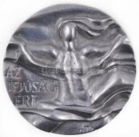 Asszonyi Tamás (1942-) DN "Az Ifjúságért / Ifjúsági díj ÁIB (Állami Ifjúsági Bizottság)" fém díj plakett (75mm) T:2