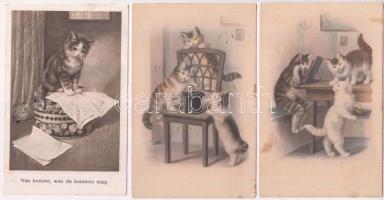 6 db RÉGI motívumlap egy lithoval, vegyes minőség; macska / 6 old motive cards with one litho, mixed quality; cats