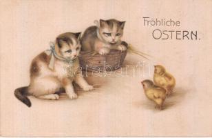 6 db RÉGI motívumlap egy lithoval, vegyes minőség; macska / 6 old motive cards with one litho, mixed...