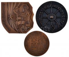 ~1960-1970. 3db Br szocialista plakett: "Fejér megye" (98x105mm) + "KISZ - Hajógyári fiatalokért" (99mm) + "Helikon Keszthely" (80mm) T:1,2