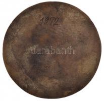 1972. "75 éves a Tömörkényi Gimnázium" egyoldalas öntött Br plakett (105mm) T:2