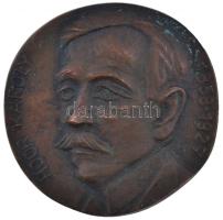 Bartos Endre (1930-) DN "Hoór Károly 1858-1927" egyoldalas öntött Br plakett (106mm) T:2