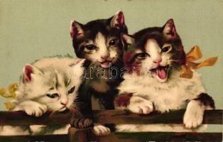 Cats, Meissner & Buch, Leipzig, Serie 1815. 'Katz und Hund' litho