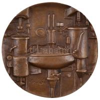Kiss Kovács Gyula (1922-1984) 1971. "Nitrokémia 1921-1971" öntött Br plakett (107mm) T:2