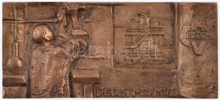 Asszonyi Tamás (1942-) ~1970. "Észak-Magyarországi Vegyiművek (ÉMV) Bábony - DEDISTI-DAMUS" egyoldalas öntött Br plakett (59x129,5mm) T:2