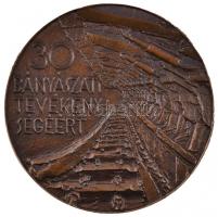 ~1970. "30 év bányászati tevékenységéért - Borsodi szénbányák" egyoldalas öntött Br érem (...