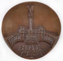 Asszonyi Tamás (1942-) DN "Budapest Főváros Tanácsa" öntött Br plakett mesterjegy nélkül (100-104mm) T:2