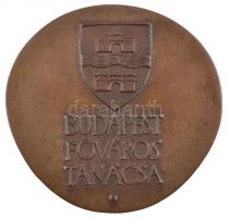 Asszonyi Tamás (1942-) DN "Budapest Főváros Tanácsa" öntött Br plakett mesterjegy nélkül (...