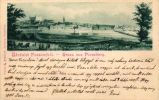 1899 Pozsony (vágott / cut)