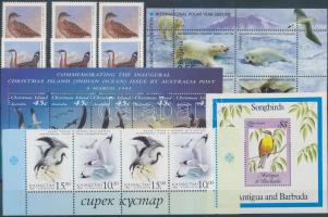 Birds 6 stamps, 1 stripe of 4, 3 blocks with duplicates, Madár motívum 6 db bélyeg, 1 db négyescsík és 3 db blokk, közte másodpéldányok