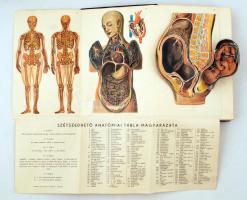 Tolnai: Orvos a családban I-V. kötet. Bp., Tolnai Nyomdai Műintézet és Kiadóvállalat. Aranyozott ger...
