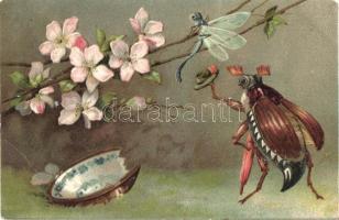 Cockchafer, Emb. litho (fa)