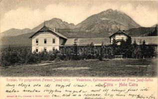 Tátraszéplak, Víz gyógyintézet, Ferencz József csúcs / spa, mountain peak (EK)