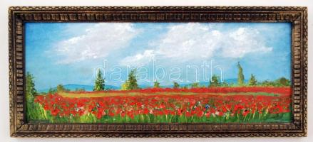 Szukovics jelzéssel: Pipacsok, olaj, farost, keretben, 15x39cm