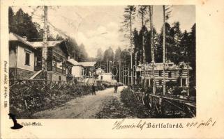 Bártfafürdő, Felső körút; Divald Károly 138. / street (fa)