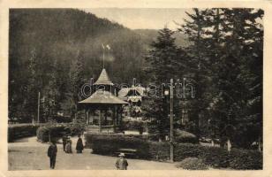 Tátra, Barlangliget, Nefelejts villa, zene pavilon; Waszlovits Gusztáv / villa, music pavilion  (EB)
