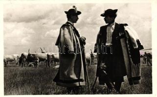 Hortobágy, csikósok