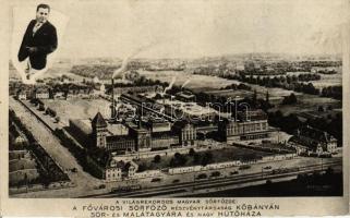 Budapest X. Kőbánya, Fővárosi Sörfőző Rt. sör- és malátagyára és nagy hűtőháza; Weeser Krell