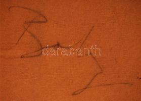 Baky Péter (1950-): Zsuzsanna és a vének. Vegyes technika, farost, jelzett, keretben, 96×58 cm