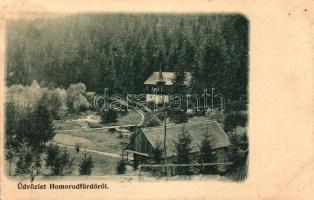 Homoródfürdő
