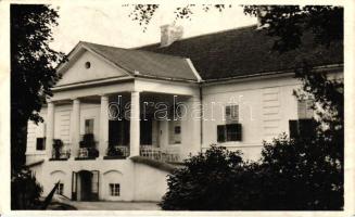 Gyón, Dabasi Halász kastély