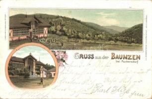 1899 Baunzen bei Purkersdorf, floral, litho